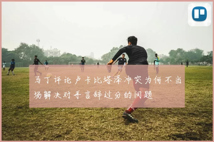 马丁评论卢卡比塔泽冲突为何不当场解决对手言辞过分的问题