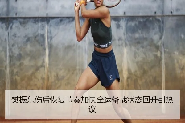 樊振东伤后恢复节奏加快全运备战状态回升引热议